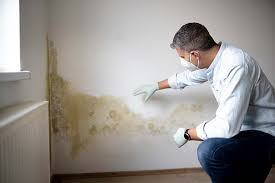 Best Mold Removal for HVAC Installations  in Simpsonville, KY